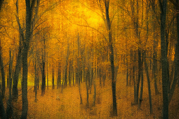 Extravagant Autumn