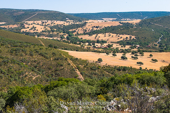 Finca el Piruetano - Los Yebenes
