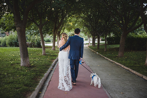 "Fotógrafo de boda en Toledo 2026 – reportajes con alma por Daniel M. Carpio"
